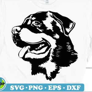 Dog Rottweiler Head SVG | Dog svg, Rottweiler svg, Rottweiler vector, Dog png, Rottweiler Head dxf, Dog Rottweiler cut file for Cricut