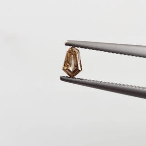 May include: A shield-cut brown gemstone held by a pair of serrated metal tweezers. The stone features a faceted surface with a warm, translucent amber hue and a pointed bottom, showcasing a geometric shape with multiple sharp, angular edges.