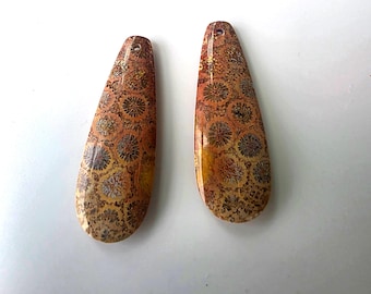 Cabochões de coral fossilizado em formato de pera: par de gemas laranja queimado