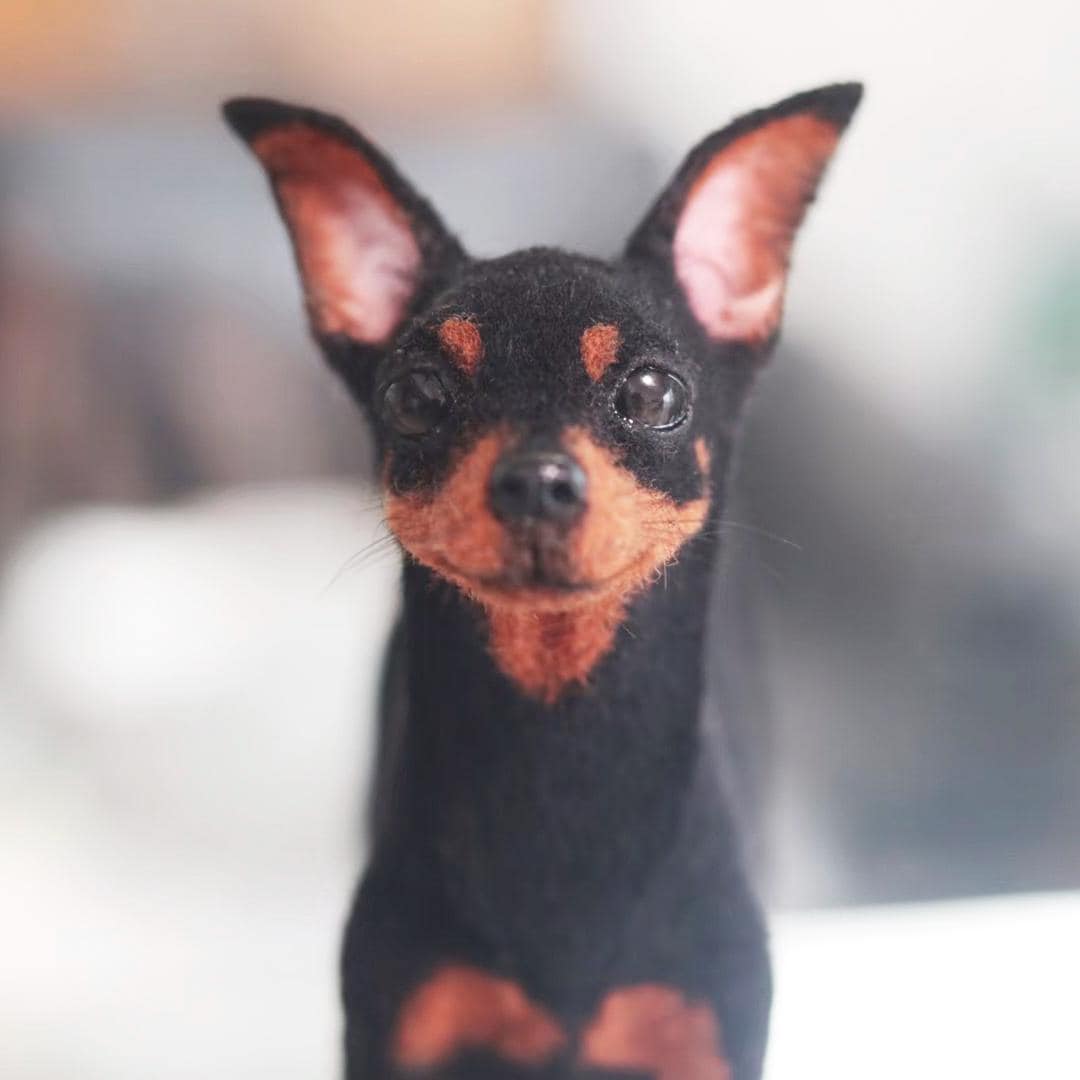 Peluche Dreamworks Pam Pam Peluche Peluche Dreamworks Discount