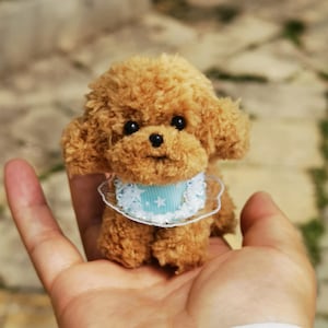 Könnte beinhalten: Ein kleiner, brauner, flauschiger Spielzeugpudel, der ein blaues und weißes Halsband mit Sternen trägt. Das Spielzeug sitzt in der Handfläche.