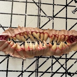 Puede incluir: Un juego de dientes protésicos con una línea de encías de color rosa pálido y dientes amarillos afilados. Las encías tienen detalles rojos, y los dientes están dispuestos en forma curva, lo que sugiere un diseño monstruoso o de criatura.
