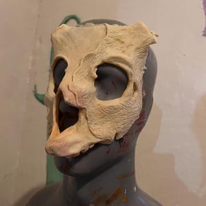 May include: A beige, textured, bone-like mask piece with deep eye sockets and a central nasal opening, positioned on a smooth, grey, featureless mannequin head. The mask has a rough, organic surface finish with visible ridges and contours.