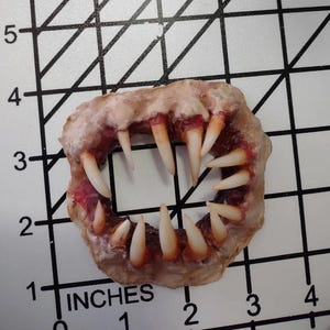 Può includere: Una protesi circolare che presenta una serie di denti realistici, affilati e color bianco sporco, incastonati in una base gengivale testurizzata color carne con accenti rossastri, posizionata su un tappetino a griglia di 6,35 cm.