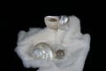 Customised Seashell Wine Glasses - - Wedding Gifts - Anniversary Gifts - Party Goblets - Handmade Seashell Martini Glasses, Gift For Sister