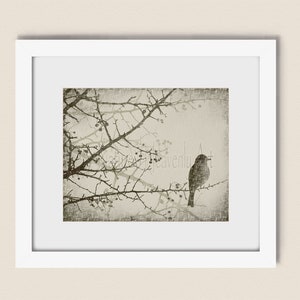 Living Room Tree Art Print, Bird Decor for Bedroom, Tree Wall Art, Bird Print for Bathroom, Bird Wall Art, Tree Print