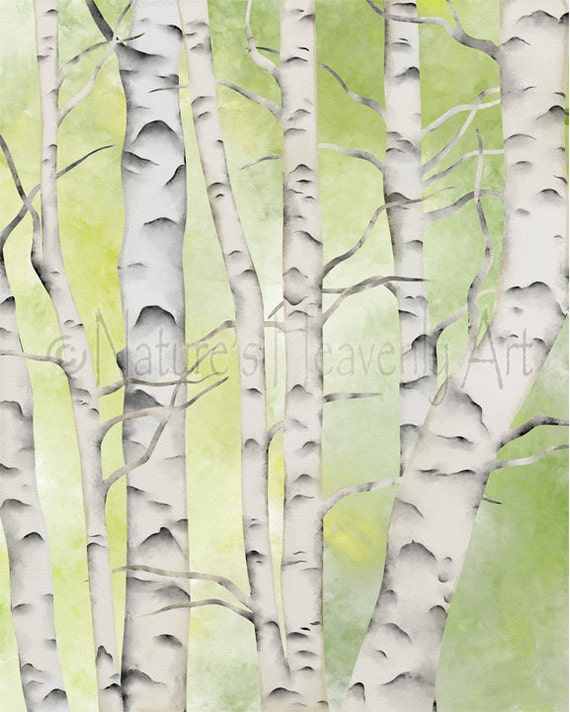 Gray And White Birch Tree Decor For Wall 16 X 20 Print Lime Etsy