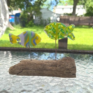 Fused glass driftwood fish/ fish/glass fish