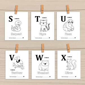Peut inclure: Six cartes blanches avec des dessins au trait noirs d'animaux et les mots fran&ccedil;ais correspondants, dont un serpent, un tigre, un paresseux, un vautour, un wombat et un &eacute;cureuil. Chaque carte est accroch&eacute;e sur un fond en bois.