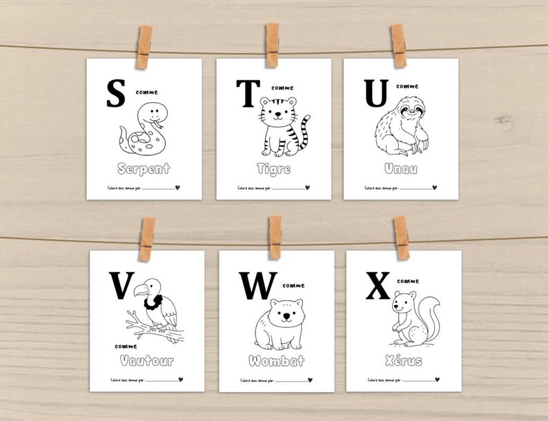 Peut inclure: Six cartes blanches avec des dessins au trait noirs d'animaux et les mots fran&ccedil;ais correspondants, dont un serpent, un tigre, un paresseux, un vautour, un wombat et un &eacute;cureuil. Chaque carte est accroch&eacute;e sur un fond en bois.