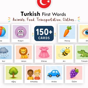May include: A set of 150+ Turkish First Words educational cards featuring colourful illustrations of animals, food, transportation, and clothing. Each card displays a single image with its corresponding Turkish word printed in black text below it.