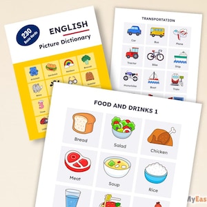 May include: A collection of educational picture dictionary pages. The top book is yellow and white with the text "ENGLISH Picture Dictionary" and "230 Basic Words". Other pages show illustrations of transport, food, and drinks.