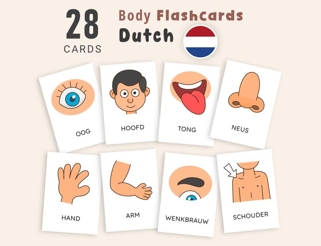 Dutch Body Parts Flashcards, Montessori Dutch Vocabulary Cards ...