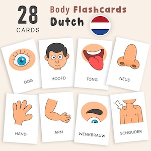 Op de afbeelding: Een set van 28 flashcards voor het leren over het menselijk lichaam. De kaarten bevatten kleurrijke illustraties van lichaamsdelen zoals een oog, neus en arm, met het Nederlandse woord eronder.