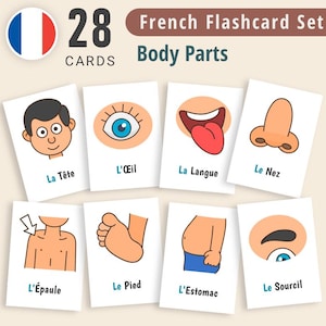 French Body Part Flashcards, Printable Toddlers Flash Cards, Homeschool Montessori Materials, Montessori Cards, Preschool Flashcards