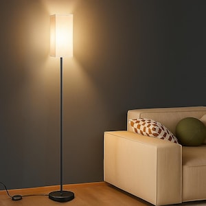 May include: A tall, black floor lamp with a rectangular, beige lampshade. The lamp is positioned in front of a dark gray wall, with a beige sofa and decorative pillows in the background. The lamp's base is round.