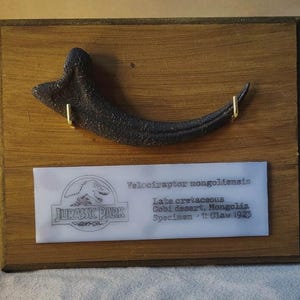 Velociraptor Claw Prop – Handmade Dinosaur Fossil Replica – Jurassic Park -Inspired Collector’s Piece