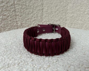 Dog collar berry vibes | Biothane | Paracord