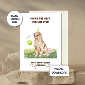 Carte Anniversaire Golden Retriever à Imprimer – Cadeau Chien Pour Maître avec Fleurs, Balle & Chapeau de Fête
