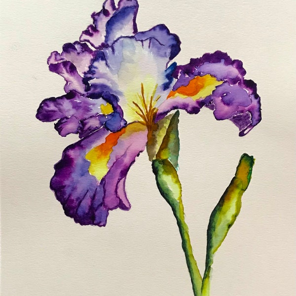 Watercolor Iris - Etsy