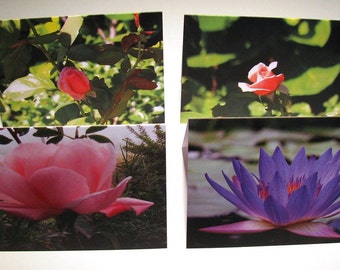 Photo Print Card Set, Art Photo Cards, Art Greeting Cards, Art Print Cards, Waterlily, Roses, Rose Bud, Blank Art Cards