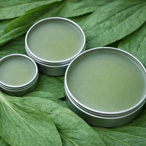 Vegan Plantain Salve Skin Organic Ointment