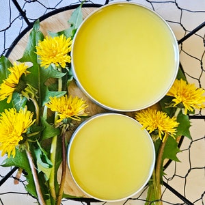 Organic Dandelion Salve for Nourished Skin