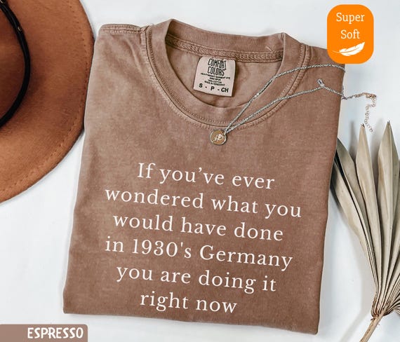 Comfort Colors® If You've Ever Wondered What You Would Have Done in 1930s Germany Shirt, Anti-Trump T-Shirt, Democracy Liberal Tee Shirts