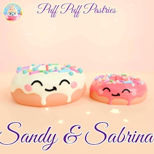 Peut inclure: Deux donuts aux couleurs pastel avec des visages heureux et des pépites colorées. Les donuts s'appellent Sandy et Sabrina. L'arrière-plan est rose clair avec des étoiles blanches.