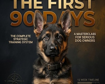 The First 90 Days Master Class Guide