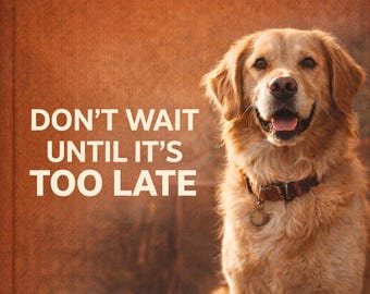 A Practical Guide to Understanding Your Pet's Health & Behavior