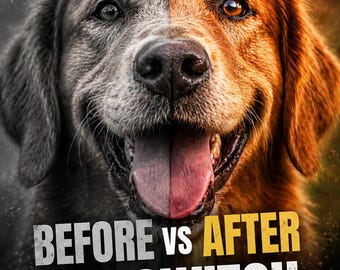 Freeze Dried Raw Dog Food Starter Guide