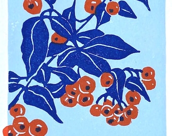 Firethorn berries (Pyracantha) - original linocut print