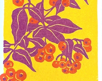 Firethorn berries (Pyracantha) - original linocut print