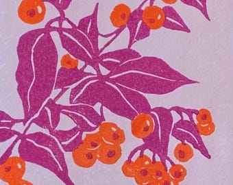 Firethorn berries (Pyracantha) - original linocut print