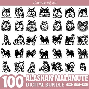 Peut inclure: Un lot numérique de 100 illustrations d'Alaskan Malamute en noir et blanc, présentant des chiens dans diverses poses. Le texte "Commercial use" est en haut, et "100 Alaskan Malamute Digital Bundle" en bas, avec les formats PNG, SVG et EPS.