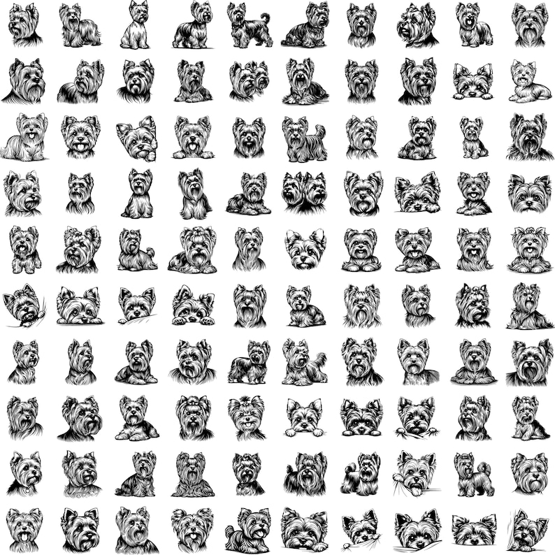 May include: A collection of black and white illustrations of Yorkshire Terriers in various poses. The drawings showcase the dogs in different positions, including standing, sitting, and lying down, with detailed fur textures.