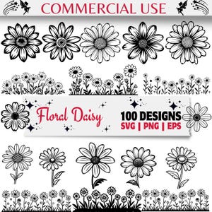 Pacchetto SVG di margherite floreali, 100 linee di fiori di margherite, clipart di fiori selvatici, silhouette di margherite PNG, vettore botanico, download digitale EPS Png