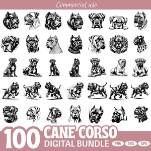 May include: A digital bundle featuring 100 Cane Corso dog illustrations in various poses and styles. The images are in black and white, with the text "Commercial use" at the top and "100 CANE CORSO DIGITAL BUNDLE" at the bottom, along with file type indicators.