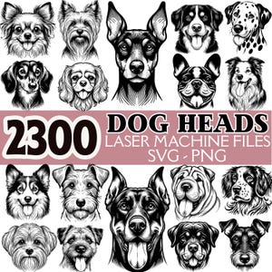 Op de afbeelding: Zwart-wit illustraties van verschillende hondenrassen. De afbeelding bevat de tekst "2300 DOG HEADS LASER MACHINE FILES SVG - PNG". Rassen zijn onder meer een Dalmatische hond, een Franse bulldog en een Teckel.
