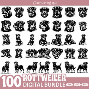 Rottweiler SVG PNG Bundle | 100 Dog Clipart Designs for Cricut | Rottweiler Silhouette Files for Shirts, Stickers, Mugs & Pet Lovers