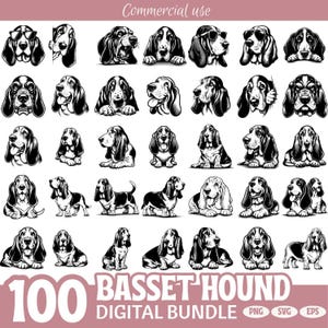 May include: A collection of 100 black and white Basset Hound digital illustrations in various poses. The text "Commercial use" is at the top, and "100 BASSET HOUND DIGITAL BUNDLE" is at the bottom, with file type icons.