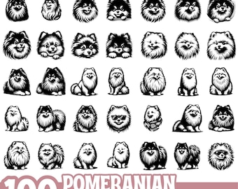 Pomeranian Dog SVG PNG EPS Bundle, Cute Fluffy Puppy Clipart Set, Cartoon Pet Silhouette Vector Files for Cricut and Sublimation