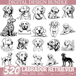 May include: A digital design bundle featuring 320 Labrador Retriever illustrations in black and white. The images showcase various poses and styles, including detailed floral designs and line art. Text at the top reads "DIGITAL DESIGN BUNDLE" and at the bottom "320 LABRADOR RETRIEVER PNG SVG EPS."