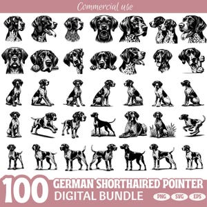 German Shorthaired Pointer Dog SVG Bundle, Hunting Dog PNG Clipart, GSP Digital Design, Vintage Dog Silhouettes for Cricut & Sublimation