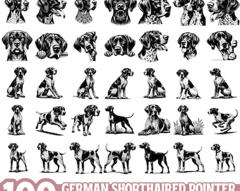 Paquete SVG de perro braco alemán de pelo corto, clipart PNG de perro de caza, diseño digital GSP, siluetas de perros vintage para Cricut y sublimación