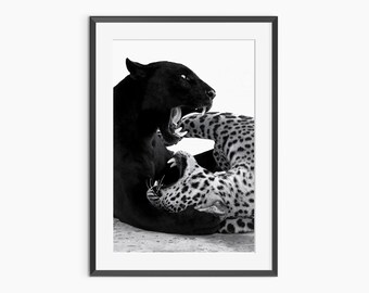 Panther Print, Photography Prints, Panther Poster, Nature Prints, Black and White Wall Art, Museum Quality Photography Poster