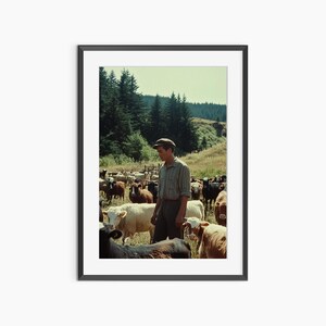 Ovelhas na fazenda, impressões fotográficas, pastor caminhando com ovelhas, impressões da natureza, pôster vintage, impressões retrô, pôster fotográfico de nível de museu