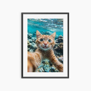 Impresión de gato, impresiones fotográficas, póster de gato, póster divertido, arte mural de gato, póster de animales, impresión de bellas artes, póster fotográfico con calidad de museo
