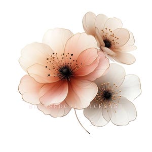 Clipart de flor de durazno en acuarela: Arte floral de diario basura (JPEG)